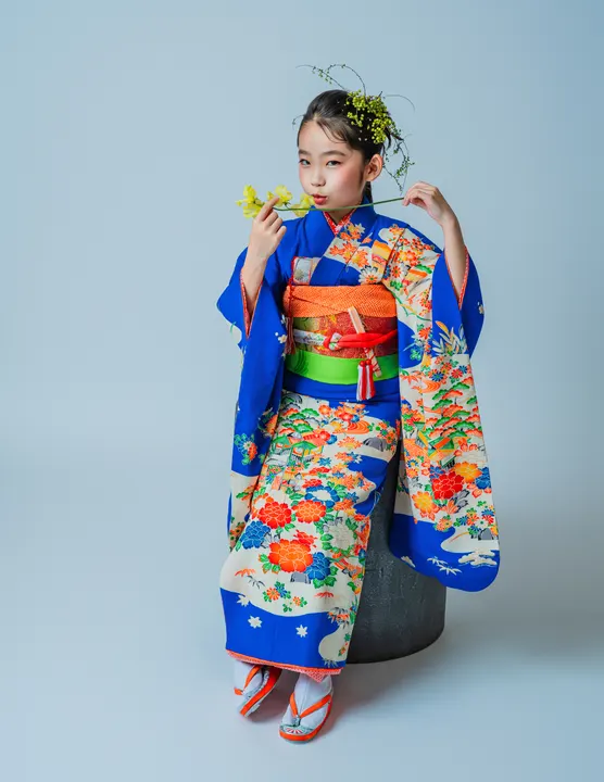 鮮やかな青地に四季の花々の柄の七五三着物「蒼」を着た女の子
