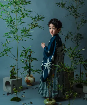 竹に囲まれて佇む紺の着物姿の七五三の男の子(Chikurin シーン)