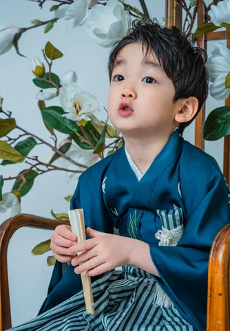 木蓮の花を背景に椅子に座る紺の着物姿の七五三の男の子(Mokuren シーン)
